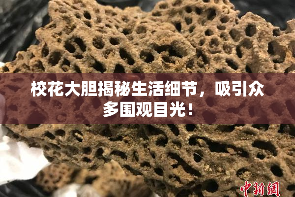 校花大胆揭秘生活细节，吸引众多围观目光！