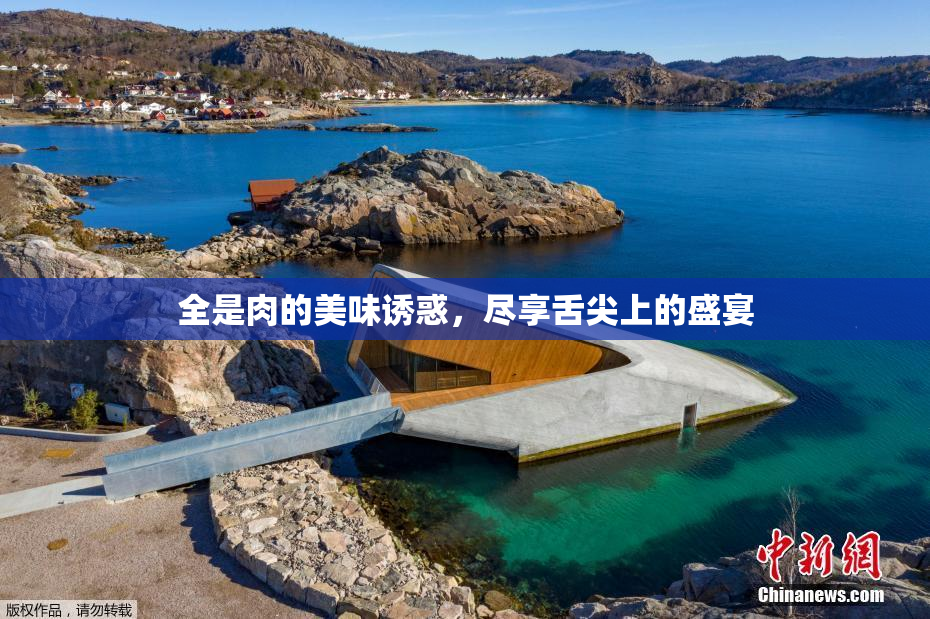 全是肉的美味诱惑，尽享舌尖上的盛宴