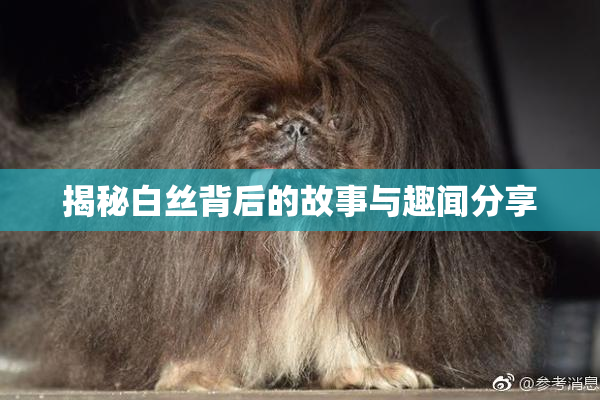 揭秘白丝背后的故事与趣闻分享