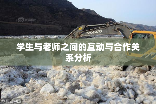 学生与老师之间的互动与合作关系分析