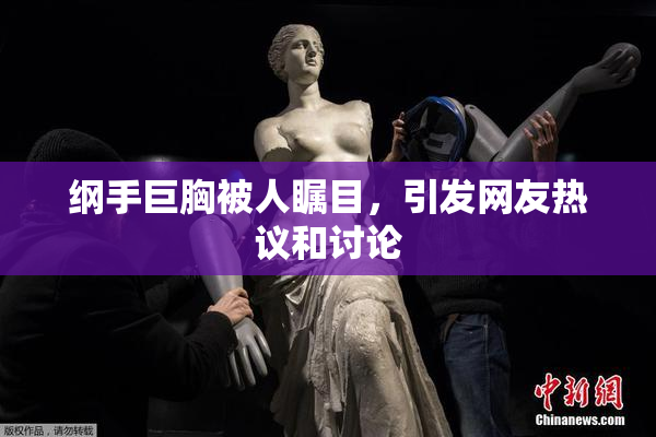 纲手巨胸被人瞩目，引发网友热议和讨论