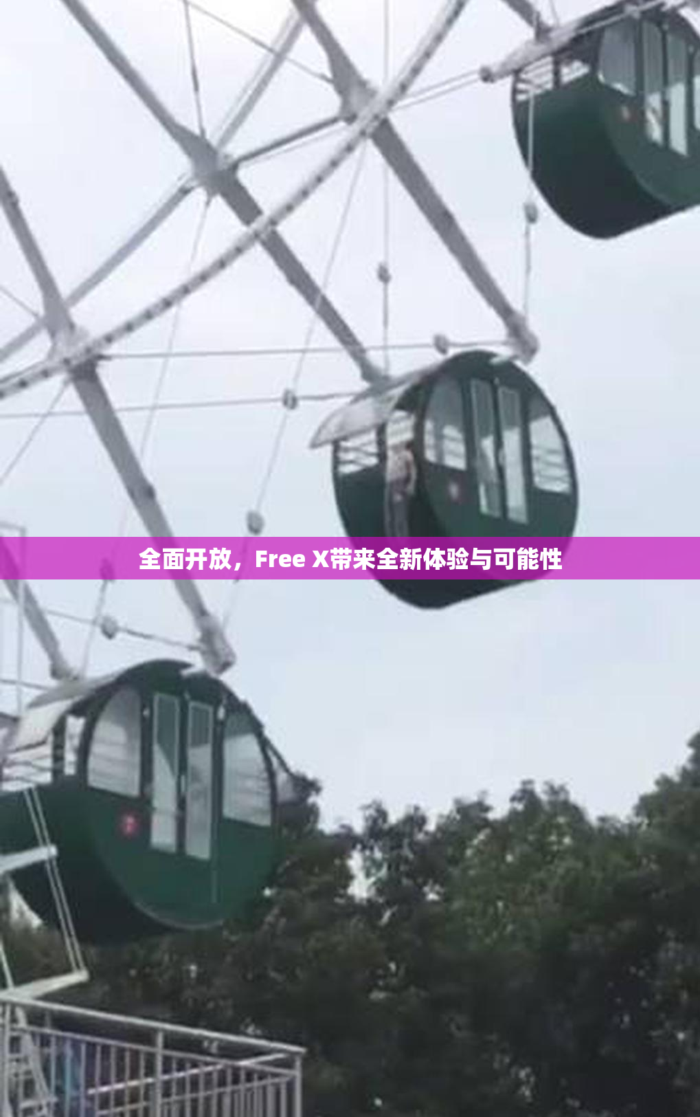 全面开放，Free X带来全新体验与可能性