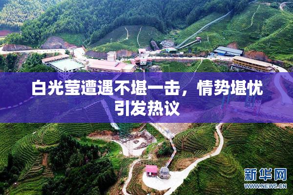 白光莹遭遇不堪一击，情势堪忧引发热议