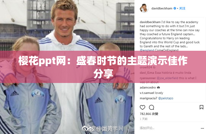 樱花ppt网：盛春时节的主题演示佳作分享