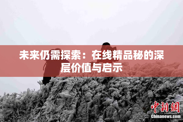 未来仍需探索：在线精品秘的深层价值与启示