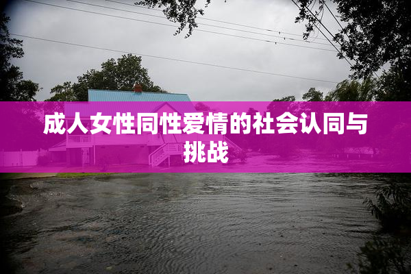 成人女性同性爱情的社会认同与挑战