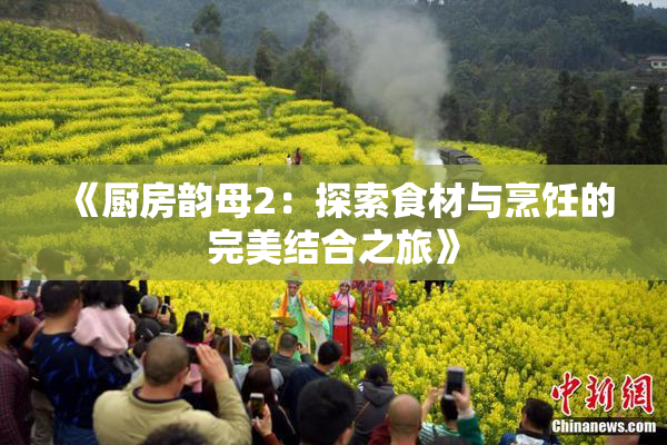 《厨房韵母2：探索食材与烹饪的完美结合之旅》
