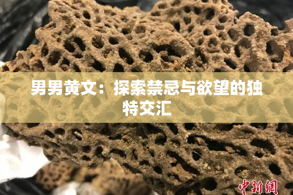 男男黄文：探索禁忌与欲望的独特交汇