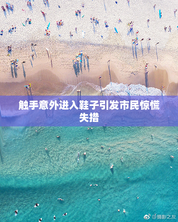 触手意外进入鞋子引发市民惊慌失措