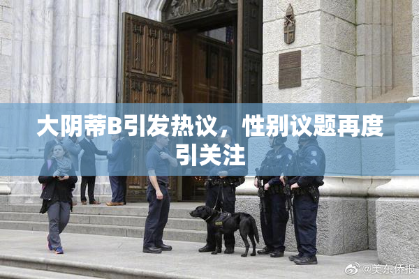 大阴蒂B引发热议，性别议题再度引关注