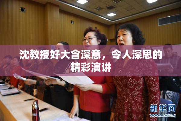 沈教授好大含深意，令人深思的精彩演讲