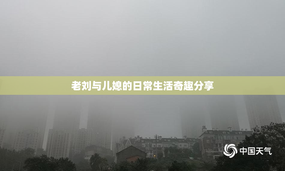 老刘与儿媳的日常生活奇趣分享