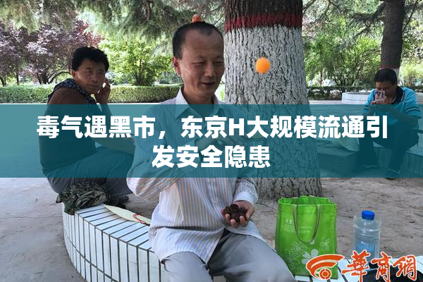 毒气遇黑市，东京H大规模流通引发安全隐患
