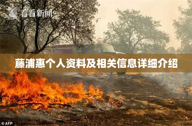 藤浦惠个人资料及相关信息详细介绍