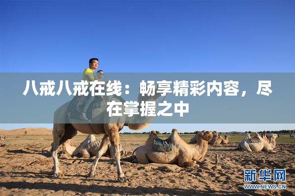 八戒八戒在线：畅享精彩内容，尽在掌握之中