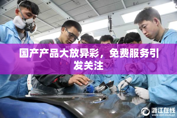 国产产品大放异彩，免费服务引发关注