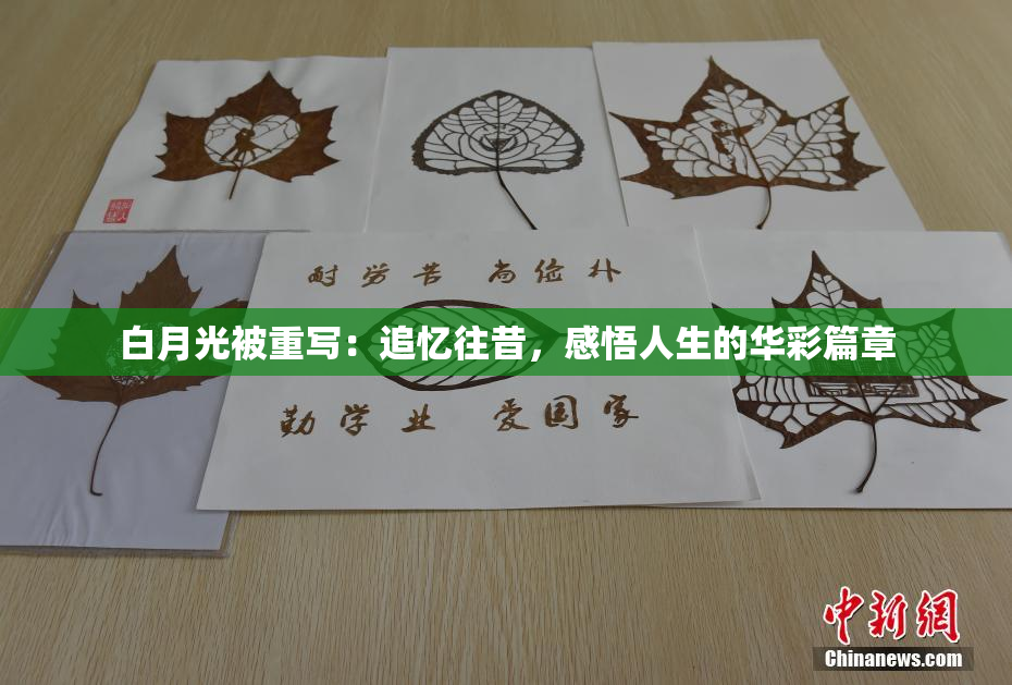 白月光被重写：追忆往昔，感悟人生的华彩篇章