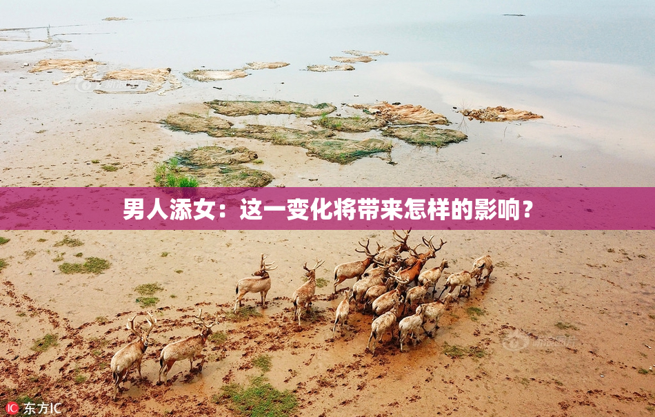 男人添女：这一变化将带来怎样的影响？