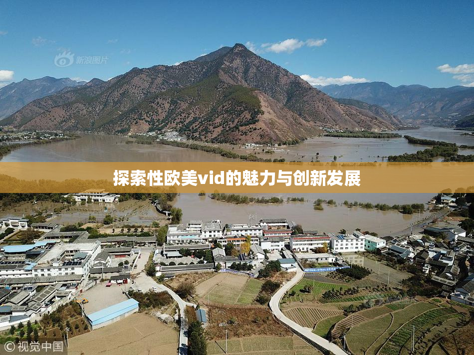 探索性欧美vid的魅力与创新发展