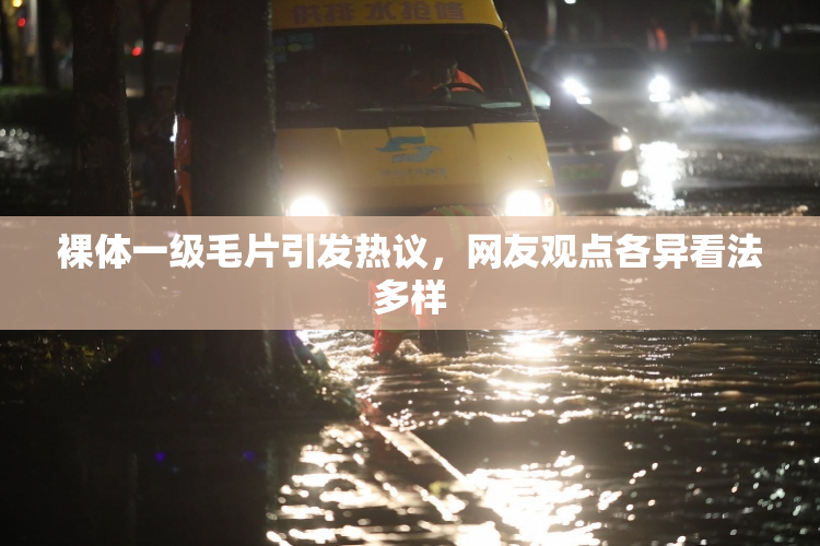 裸体一级毛片引发热议，网友观点各异看法多样
