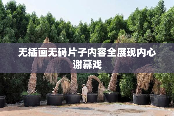 无插画无码片子内容全展现内心谢幕戏