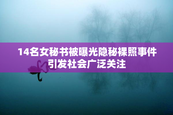 14名女秘书被曝光隐秘裸照事件引发社会广泛关注
