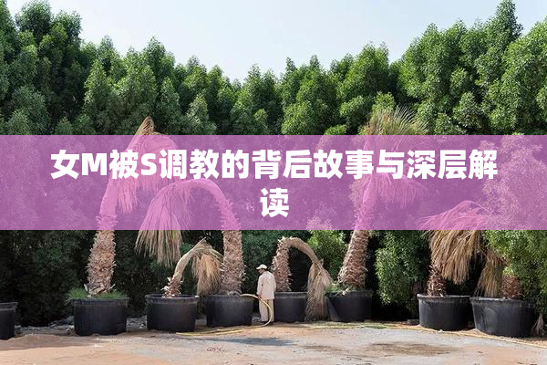 女M被S调教的背后故事与深层解读