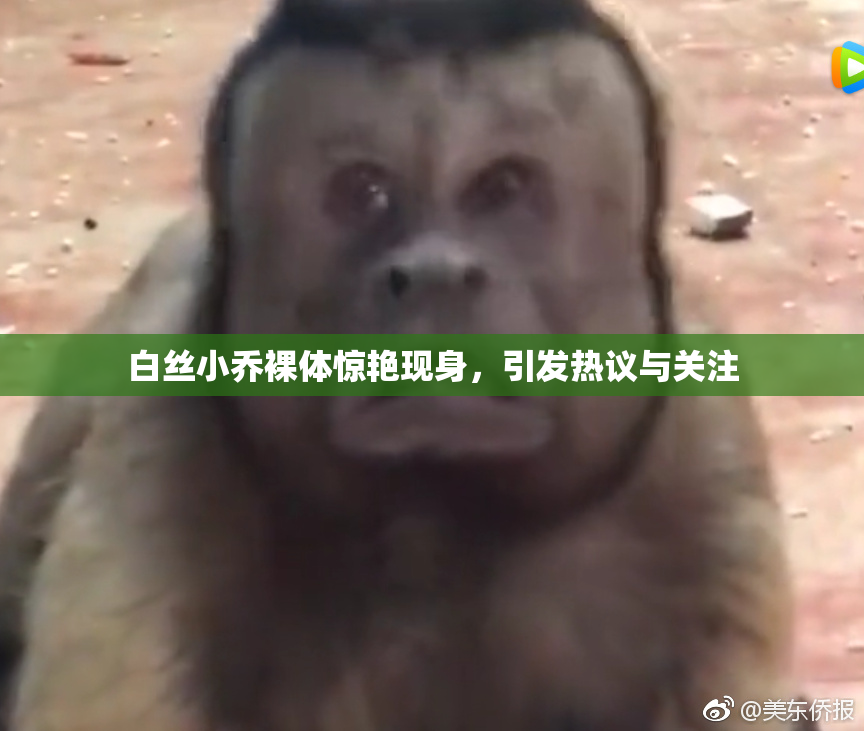 白丝小乔裸体惊艳现身，引发热议与关注