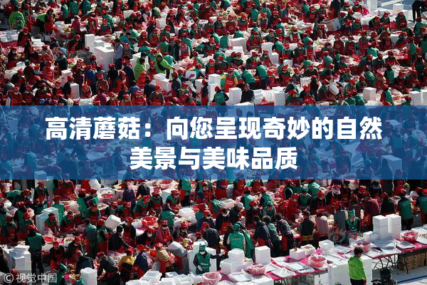高清蘑菇：向您呈现奇妙的自然美景与美味品质