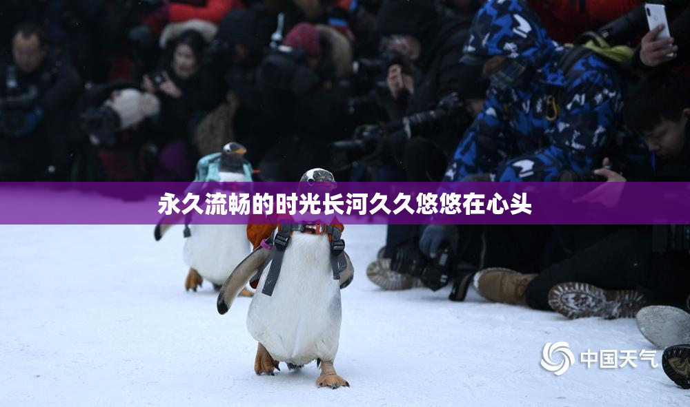 永久流畅的时光长河久久悠悠在心头