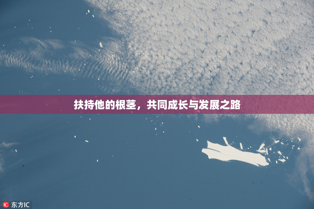 扶持他的根茎，共同成长与发展之路