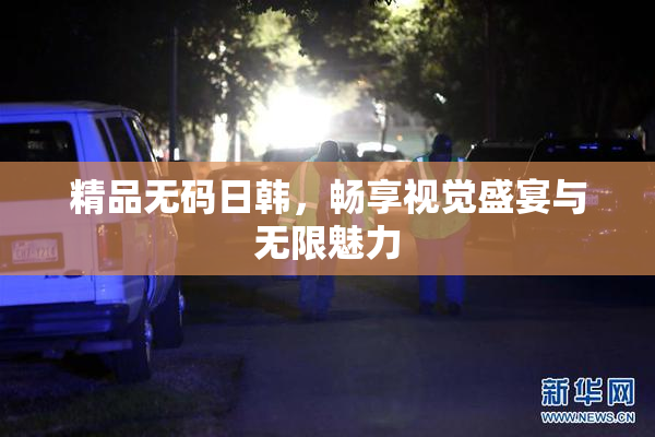 精品无码日韩，畅享视觉盛宴与无限魅力