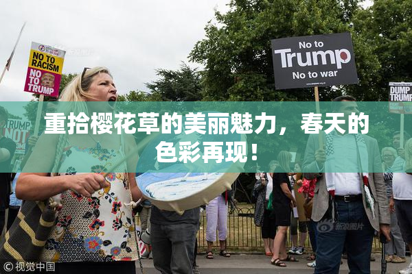 重拾樱花草的美丽魅力，春天的色彩再现！