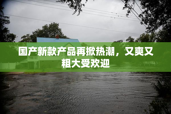 国产新款产品再掀热潮，又爽又粗大受欢迎