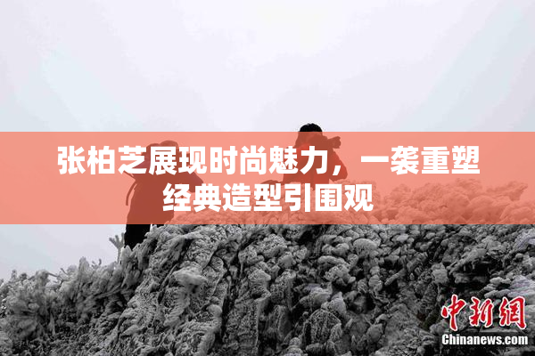 张柏芝展现时尚魅力，一袭重塑经典造型引围观