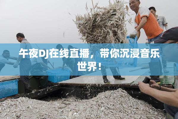 午夜DJ在线直播，带你沉浸音乐世界！