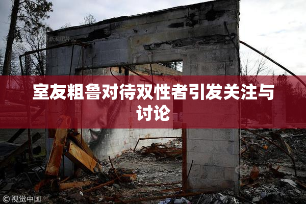 室友粗鲁对待双性者引发关注与讨论