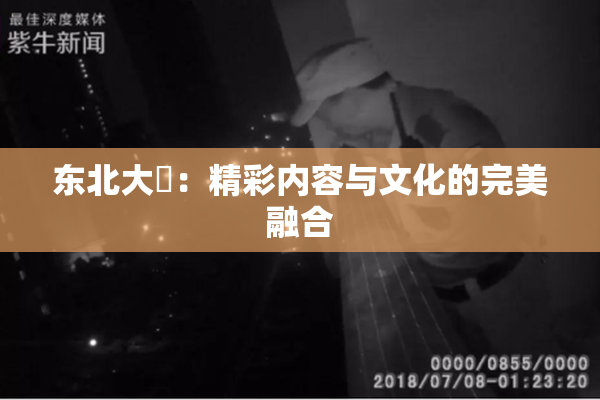 东北大鷄：精彩内容与文化的完美融合