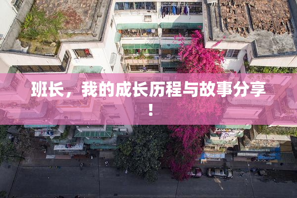 班长，我的成长历程与故事分享！