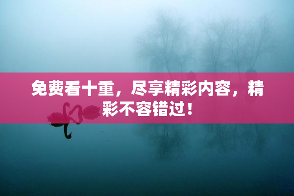 免费看十重，尽享精彩内容，精彩不容错过！