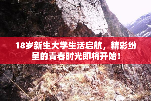 18岁新生大学生活启航，精彩纷呈的青春时光即将开始！