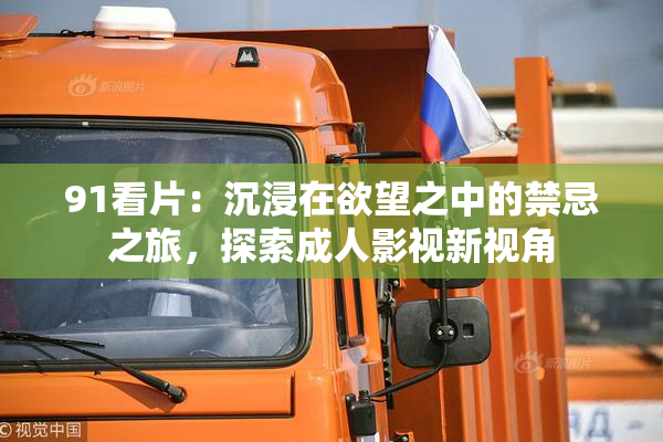 91看片：沉浸在欲望之中的禁忌之旅，探索成人影视新视角