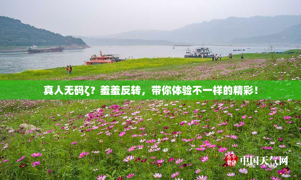 真人无码ζ？羞羞反转，带你体验不一样的精彩！