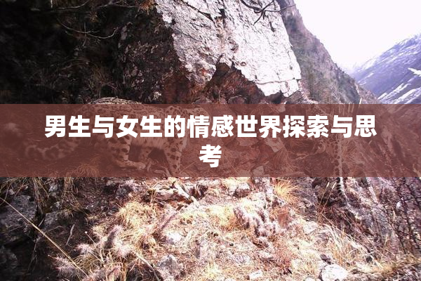 男生与女生的情感世界探索与思考