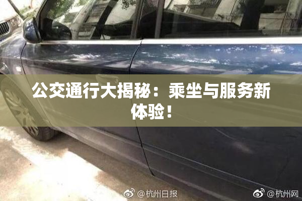 公交通行大揭秘：乘坐与服务新体验！