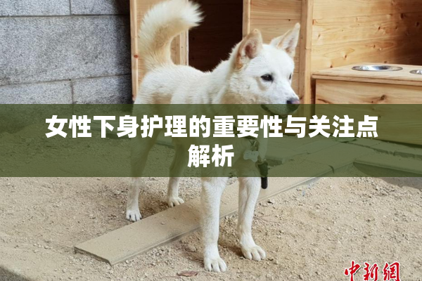 女性下身护理的重要性与关注点解析