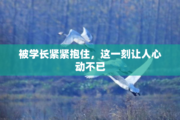 被学长紧紧抱住，这一刻让人心动不已