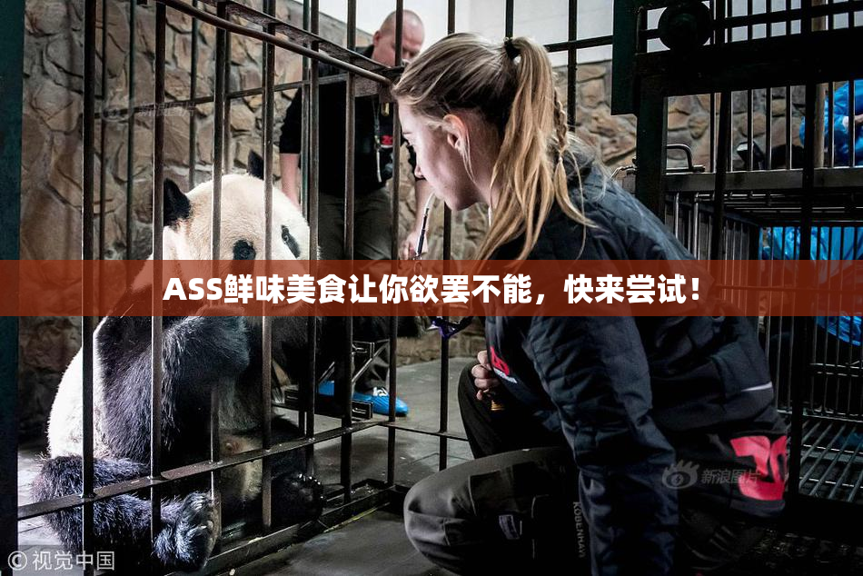 ASS鲜味美食让你欲罢不能，快来尝试！