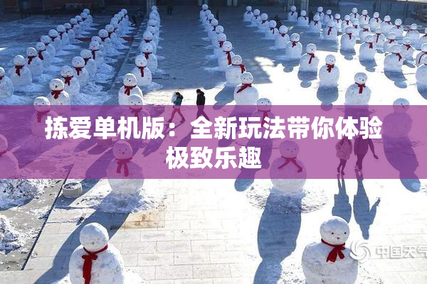 拣爱单机版：全新玩法带你体验极致乐趣