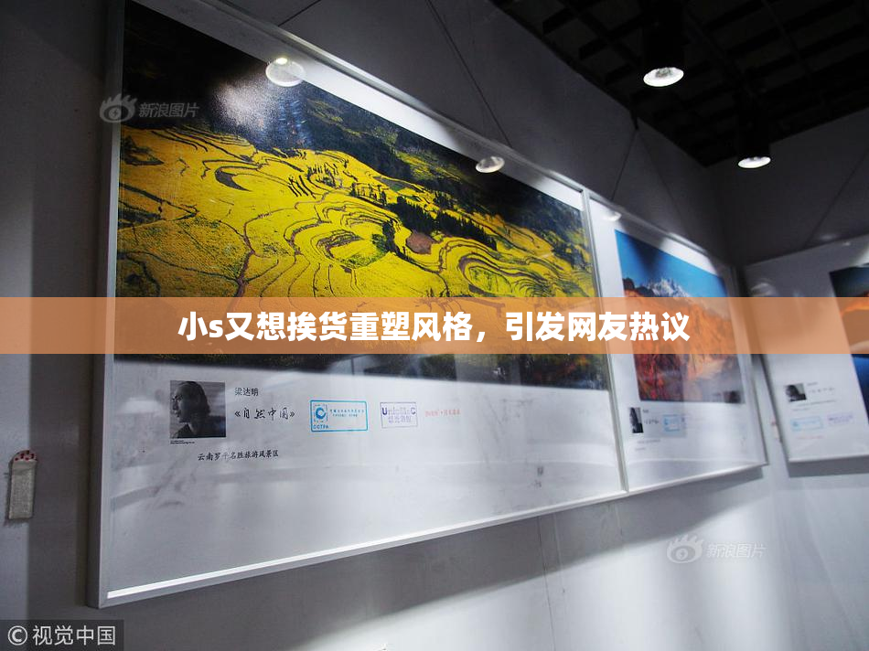 小s又想挨货重塑风格，引发网友热议
